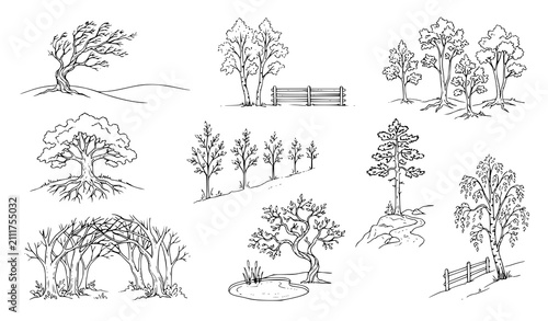 Rural Landscape and Woodland Tree Sketch Collection with Wooden Fences, Botanical Arches, Sapling Rows, and Forest Outlines for Countryside Brandings