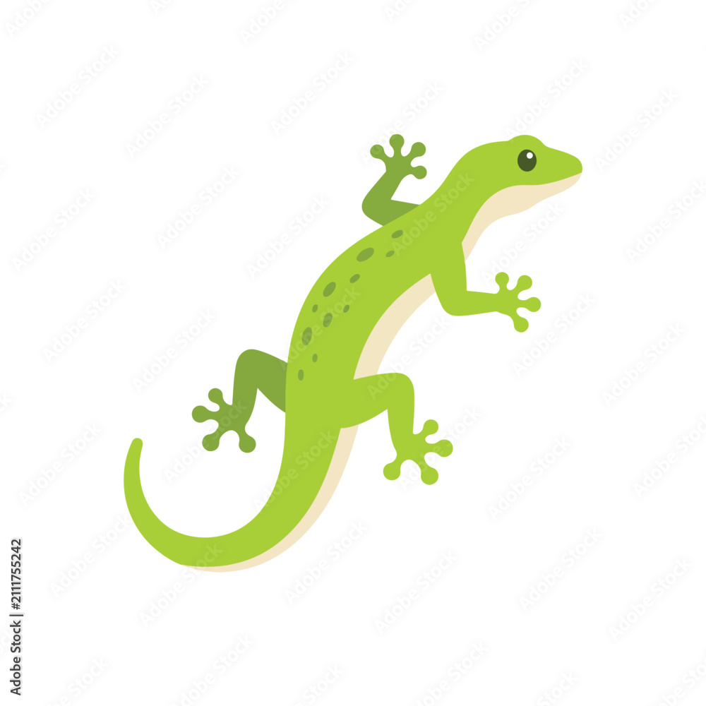 Obraz premium Green Gecko Climbing Isolated On White With Copy Space For Text Vector Illustration