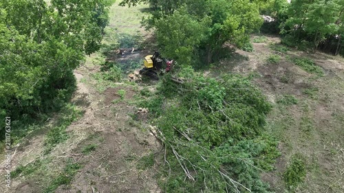 Aerial view of an excavator with a forestry tree shear removing trees during land clearing. Machine cuts and places timber onto a brush pile.
