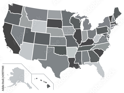 Canvastavla Greyscale United States map with state borders and insets for Alaska and Hawaii