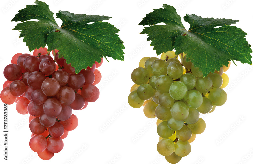 Fototapeta premium bunch of grapes