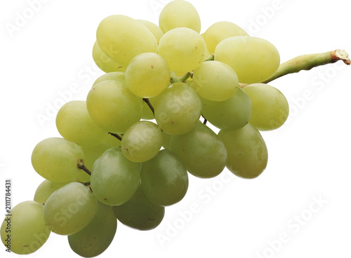 Obraz na płótnie bunch of grapes