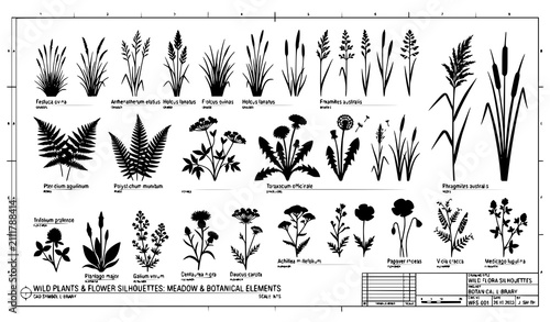Cuadro en lienzo Wild Botanical Plant and Grass Illustration Collection Featuring Natural Forest