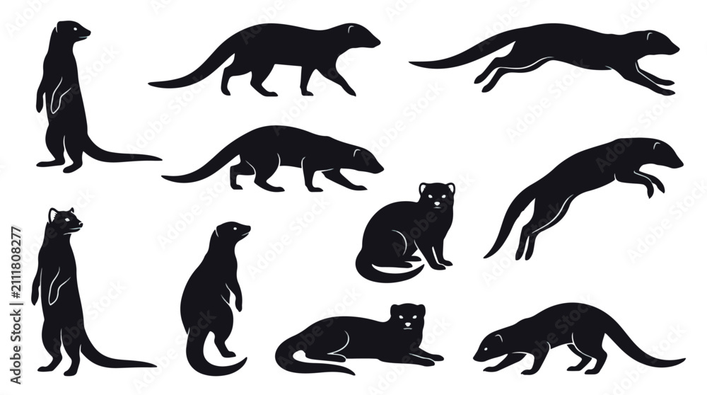 Obraz premium Wild big cat family vector illustration set. Black panther and jaguar poses. Standing, walking, sitting, and running silhouettes for wildlife design projects.