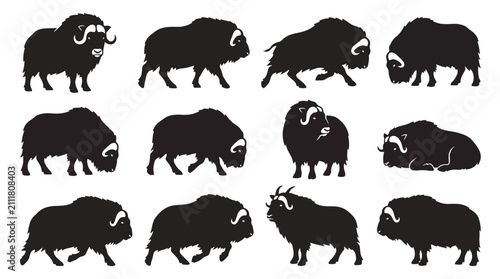 Black and white buffalo icon set. Twelve solid silhouette illustrations of bison in various standing and walking poses. Minimalist vector graphics.