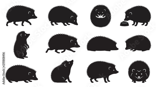 Hedgehog animal behavior vector set. Walking, sitting, eating, and playful poses. Solid black silhouette illustrations for wildlife education.