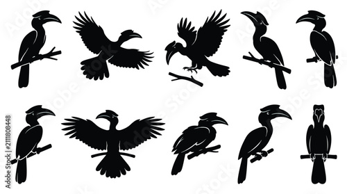 Toucan bird icon set. Perched and flying vector silhouettes on branches. Black solid glyph illustrations for wildlife design projects.