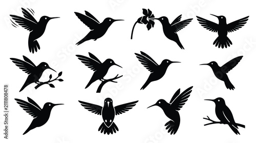 Black swallowtail bird vector icon set. Flying and perched poses on branches. Silhouette style for nature and wildlife designs.