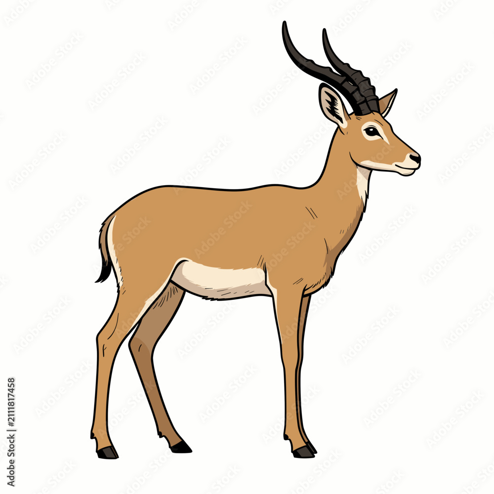 Fototapeta premium Standing Antelope Illustration with Curved Horns on White Background