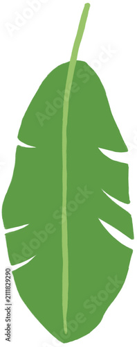 vector illustration of an apple 바나나잎