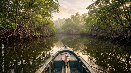 Kayaking through Mangrove Forest: A serene kayaking adventure awaits as the perspective shifts to the front of a kayak gliding through a tranquil mangrove forest.