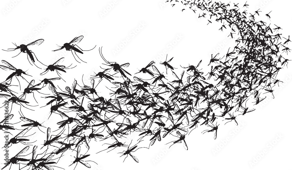 Obraz premium Swarm of flying mosquitoes silhouette isolated on white background representing insect infestation and pest control concept vector illustration