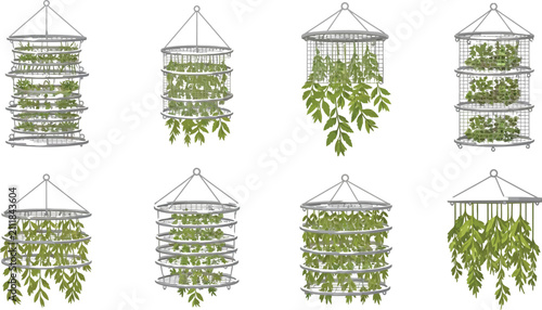 Fotografie Collection of hanging drying racks filled with various herbs and leaves illustra