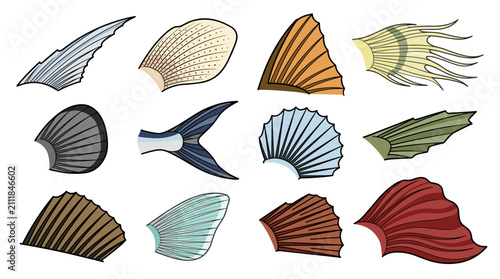 Collection of Various Fish Fins and Tails.