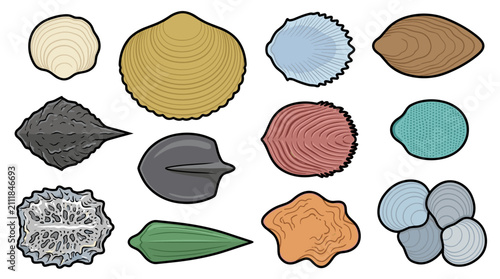 Premium collection of 12 distinct natural fish scales and scale structures isolated vector set
