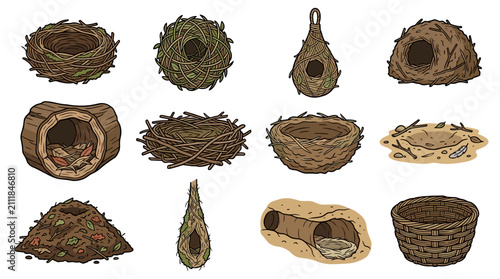 Various Types of Bird Nests in Different Shapes and Sizes.