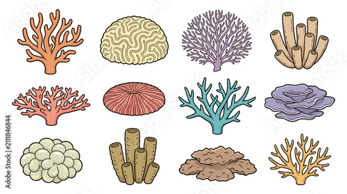 Various Types of Colorful Coral Illustrations for Marine Life.
