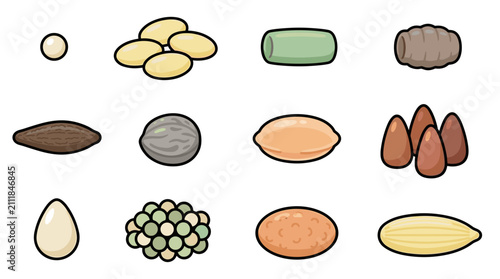 Premium Vector Collection of 12 Natural Insect Egg Forms and Clusters Isolated with Detailed Biological Variation