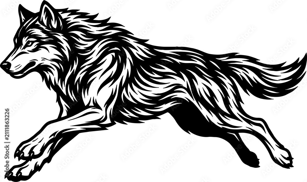 Obraz premium Fierce wolf head with snarling expression