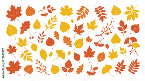 Colorful Autumn Leaves and Berries Set for Fall Design Elements