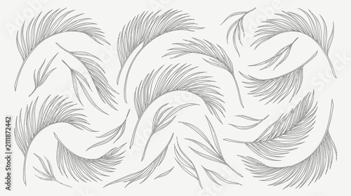 Foto Delicate swirling feather pattern sketch on white background