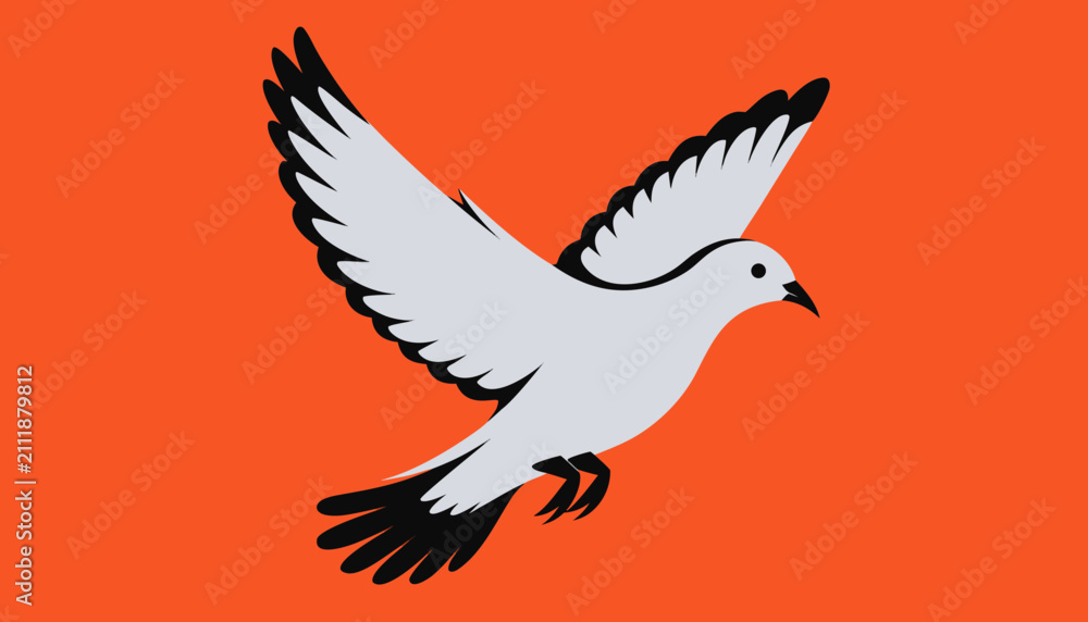 Fototapeta premium white dove flying