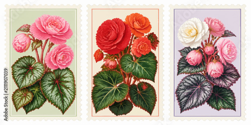 Quadro su tela Botanical Beauties: A triptych of postage stamps showcasing vibrant illustrations of begonias in full bloom, featuring a range of colors from delicate pink to fiery red and pure white