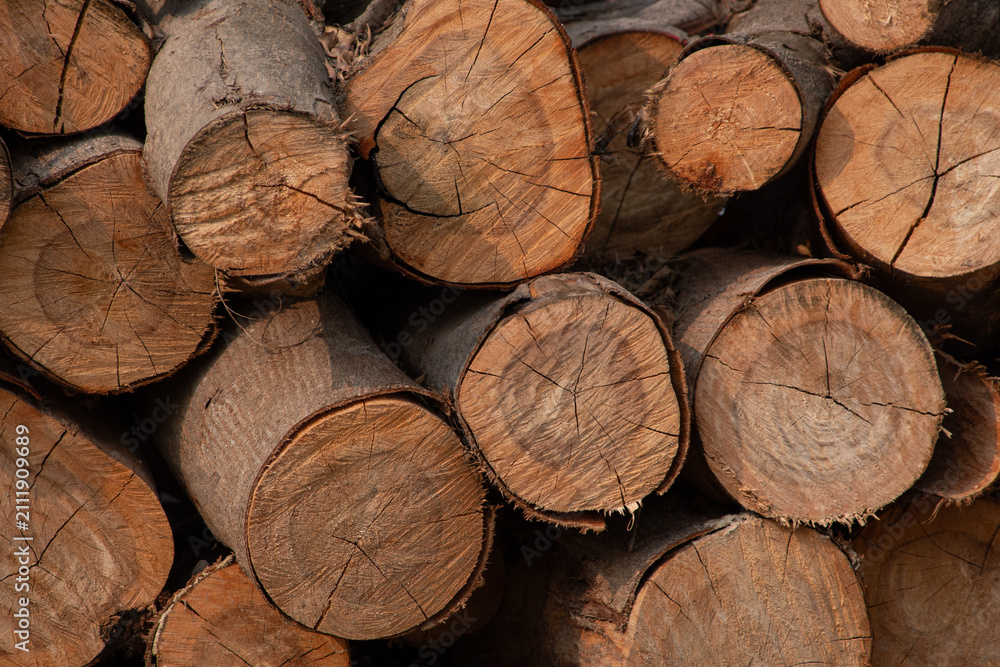 Fototapeta premium Close-Up of Stacked Cut Firewood Logs