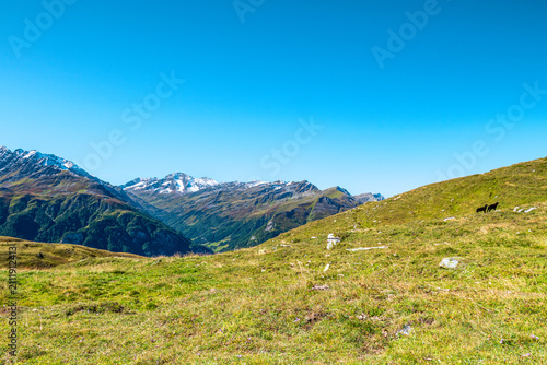 Fotografie Alpine meadow along Grossglockner High Alpine Road in Austria