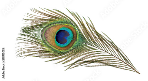 Fotografie Intricate peacock feather with iridescent eye pattern and delicate barbs