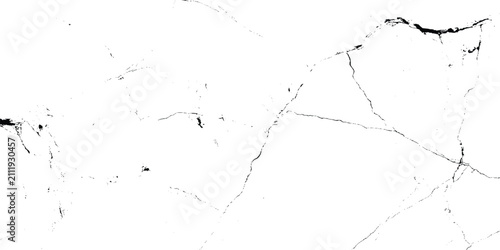 Принти на полотні A high contrast black and white grunge marble texture featuring distinct organic branching veins and fine crack lines across a clean background
