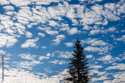 Bild auf Leinwand sumer clouds in the sky