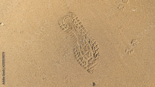 Top view of a distinct shoe footprint and small animal paw prints pressed into smooth golden beach sand.