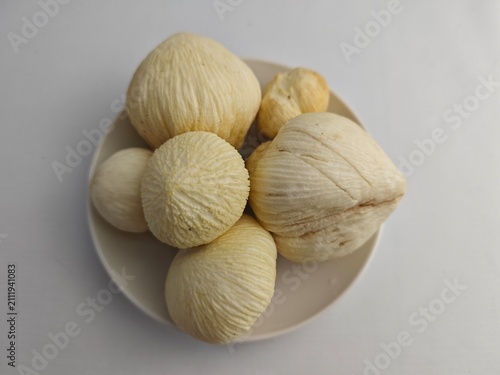 Coconut sprouts 