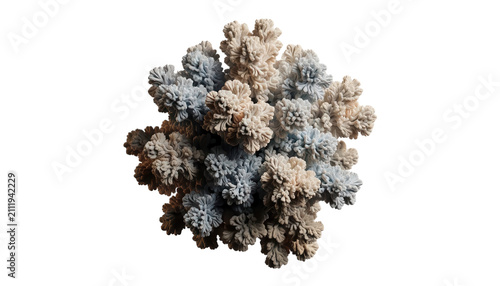Coral Reef Cluster Transparent Background