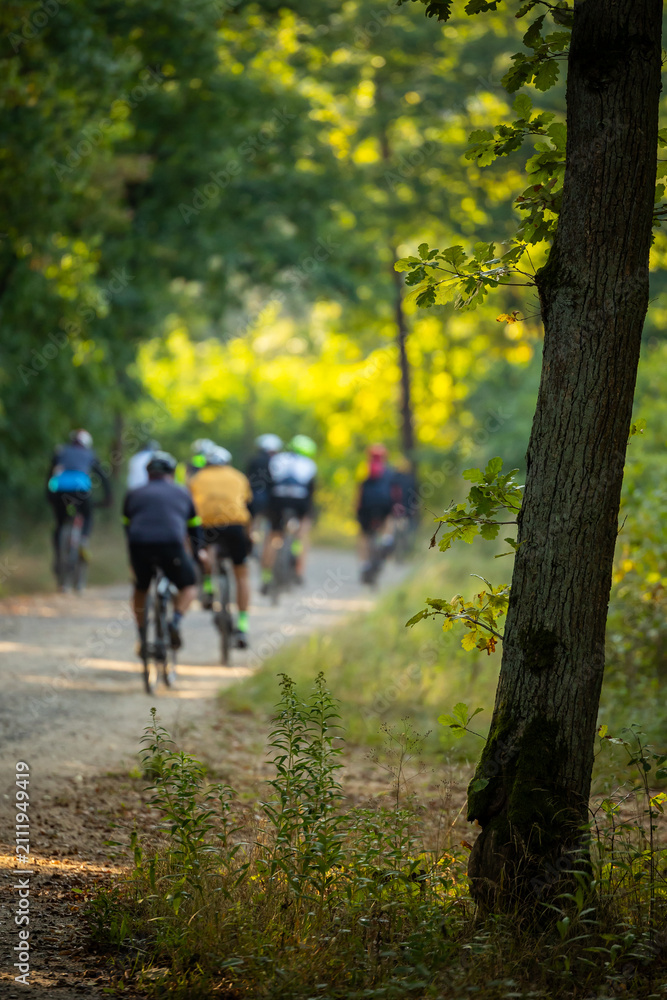 Obraz premium Rear view of a large group of cyclists riding gravel and mountain bikes on a dirt path through a sunny forest. Action shot of a cycling event in nature.