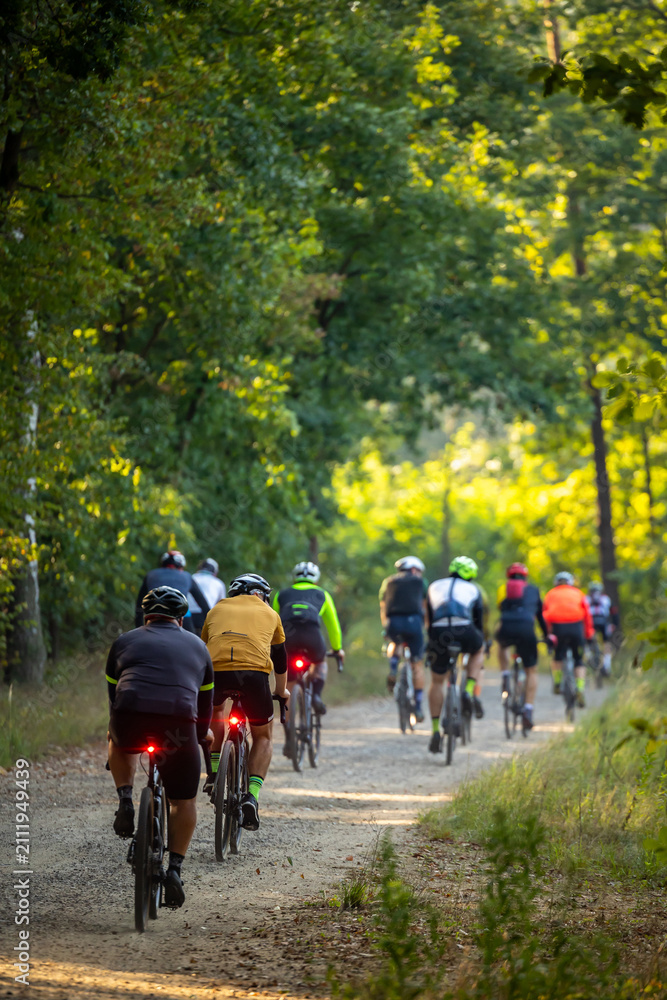 Fototapeta premium Rear view of a large group of cyclists riding gravel and mountain bikes on a dirt path through a sunny forest. Action shot of a cycling event in nature.