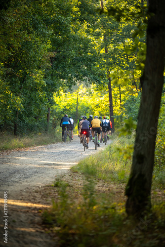 Rear view of a large group of cyclists riding gravel and mountain bikes on a dirt path through a sunny forest. Action shot of a cycling event in nature.