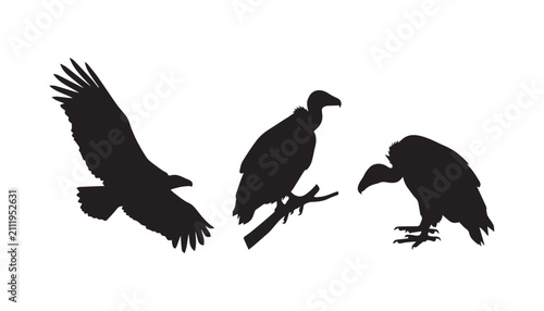 Canvastavla black and white silhouette set of vulture bird very high quality vector illustration