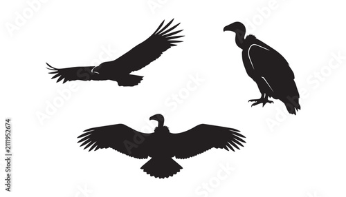 Foto black and white silhouette set of vulture bird very high quality vector illustration