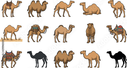 Tableau sur toile Vector illustration set of dromedary and bactrian camels with saddles baggage and black silhouettes isolated on a white background