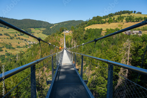 Black Forest Line Brücke Todtnauberg im Schwarzwald