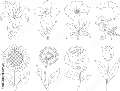 Obraz na płótnie Colección de varias flores dibujadas a mano con diferentes especies en un estilo