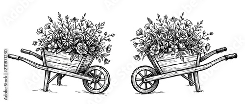 Fotografie Hand-drawn floral wheelbarrow illustration, garden harvest