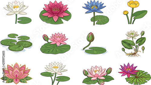 Bild auf Leinwand Water lily vector collection featuring colorful lotus blossoms pink floating pad