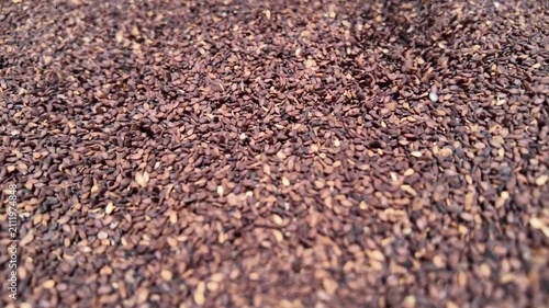 Black sesame seeds pouring from top , super close up view in slow motion , sesame seeds 