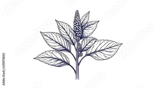 Elegant minimalist line art pine tree illustration.