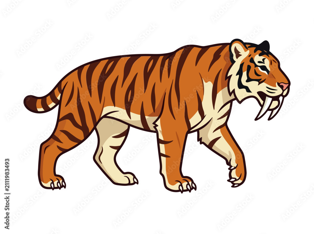 Obraz premium Illustration of a fierce saber-toothed cat walking isolated on white background.
