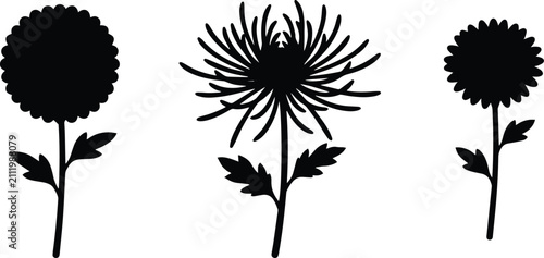 Bild auf Leinwand Chrysanthemum Flower Silhouette Set with Bloom and Floral Bud, Black Botanical V