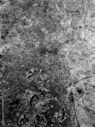Canvas Print Textured surface displays natural abstract patterns in monochrome tones
